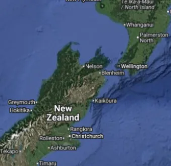 nz.webp